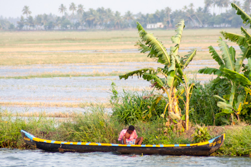 Backwaters of Kerala - Fisherman (India)