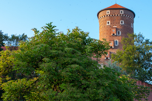 Wawel Royal Castle in Kraków (tower)